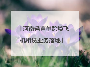 河南省首单跨境飞机租赁业务落地