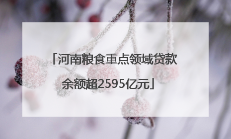 河南粮食重点领域贷款余额超2595亿元