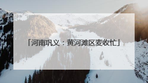 河南巩义：黄河滩区麦收忙