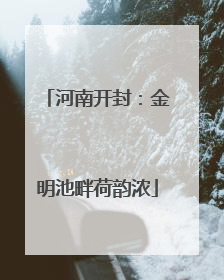 河南开封：金明池畔荷韵浓