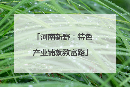 河南新野：特色产业铺就致富路