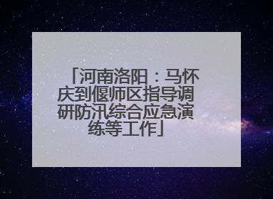 河南洛阳：马怀庆到偃师区指导调研防汛综合应急演练等工作