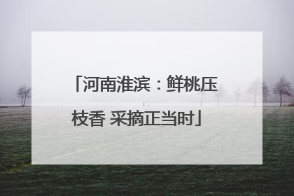 河南淮滨：鲜桃压枝香 采摘正当时