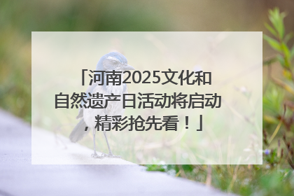 河南2025文化和自然遗产日活动将启动，精彩抢先看！
