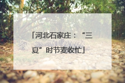 河北石家庄：“三夏”时节麦收忙