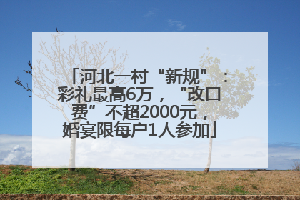 河北一村“新规”：彩礼最高6万，“改口费”不超2000元，婚宴限每户1人参加