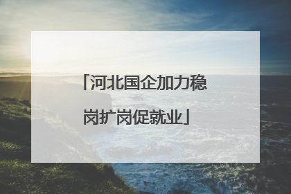 河北国企加力稳岗扩岗促就业