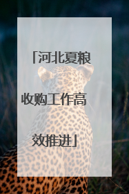 河北夏粮收购工作高效推进