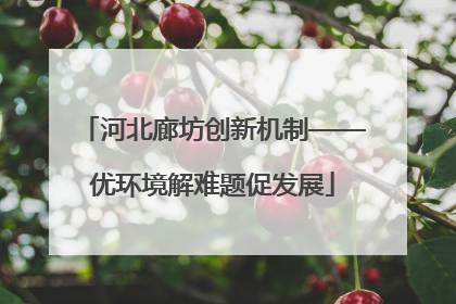 河北廊坊创新机制——优环境解难题促发展