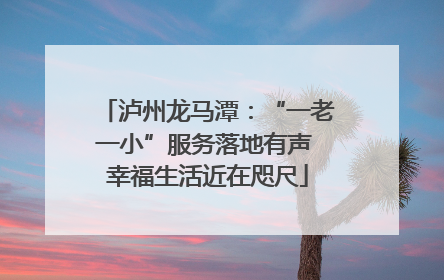 泸州龙马潭：“一老一小”服务落地有声 幸福生活近在咫尺
