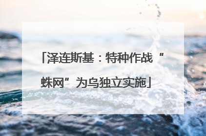泽连斯基：特种作战“蛛网”为乌独立实施