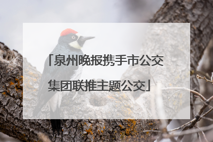 泉州晚报携手市公交集团联推主题公交