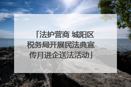 法护营商 城阳区税务局开展民法典宣传月进企送法活动