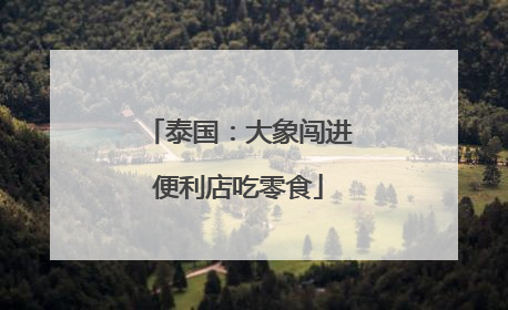 泰国：大象闯进便利店吃零食