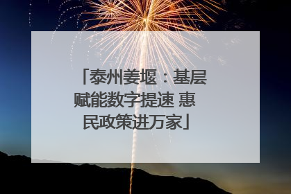 泰州姜堰：基层赋能数字提速 惠民政策进万家