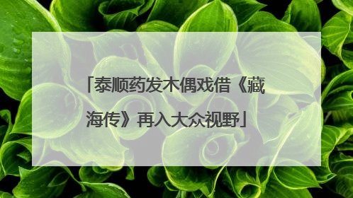 泰顺药发木偶戏借《藏海传》再入大众视野