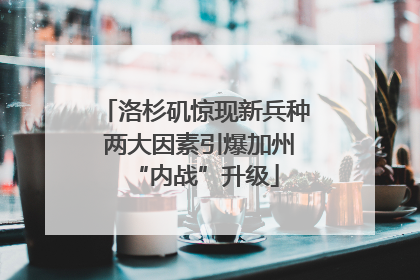洛杉矶惊现新兵种 两大因素引爆加州“内战”升级