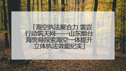海空执法聚合力 雷霆行动筑天网——山东烟台海警局探索海空一体提升立体执法效能纪实