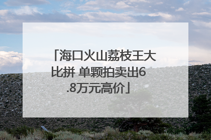 海口火山荔枝王大比拼 单颗拍卖出6.8万元高价