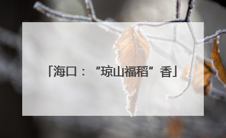 海口：“琼山福稻”香