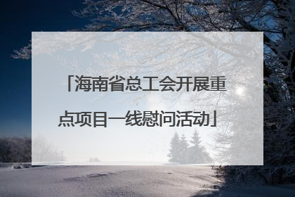 海南省总工会开展重点项目一线慰问活动