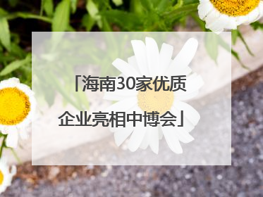 海南30家优质企业亮相中博会