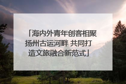 海内外青年创客相聚扬州古运河畔 共同打造文旅融合新范式
