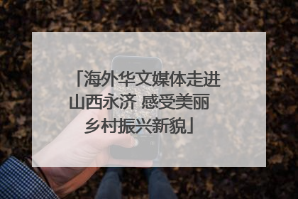 海外华文媒体走进山西永济 感受美丽乡村振兴新貌