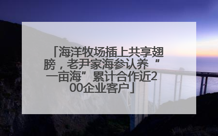 海洋牧场插上共享翅膀，老尹家海参认养“一亩海”累计合作近200企业客户