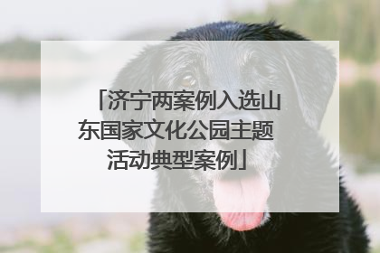 济宁两案例入选山东国家文化公园主题活动典型案例