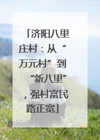 济阳八里庄村：从“万元村”到“新八里”，强村富民路正宽