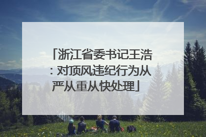 浙江省委书记王浩：对顶风违纪行为从严从重从快处理