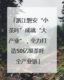 浙江磐安“小茶叶”成就“大产业”，全力打造50亿级茶叶全产业链
