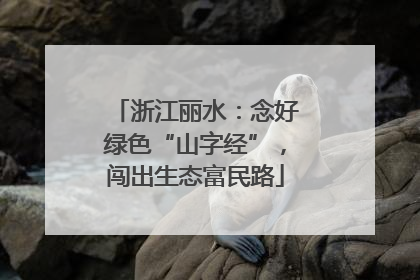 浙江丽水：念好绿色“山字经”，闯出生态富民路