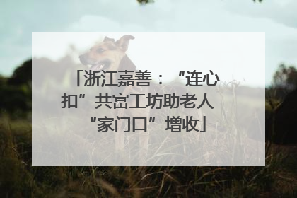 浙江嘉善：“连心扣”共富工坊助老人“家门口”增收
