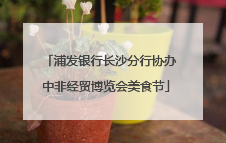 浦发银行长沙分行协办中非经贸博览会美食节