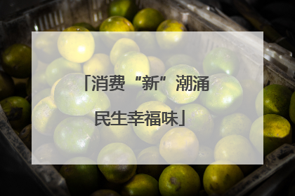消费“新”潮涌 民生幸福味