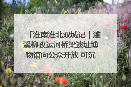 淮南淮北双城记｜濉溪柳孜运河桥梁遗址博物馆向公众开放 可沉浸式触摸历史