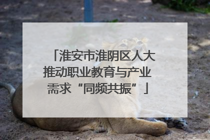 淮安市淮阴区人大推动职业教育与产业需求“同频共振”