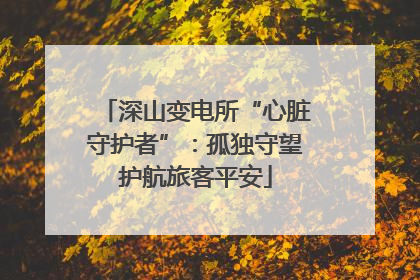 深山变电所“心脏守护者”：孤独守望护航旅客平安