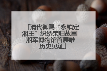 清代御赐“永镇定湘王”织绣荣归故里 湘军博物馆首展唯一历史见证