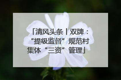 清风头条丨双牌：“提级监督”规范村集体“三资”管理