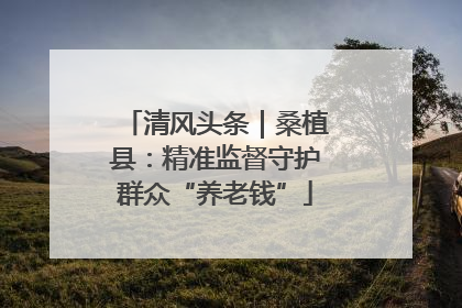 清风头条｜桑植县：精准监督守护群众“养老钱”