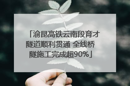 渝昆高铁云南段育才隧道顺利贯通 全线桥隧施工完成超90%