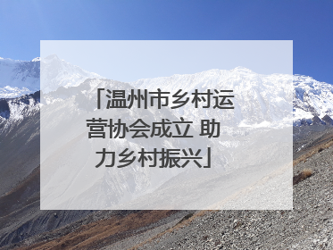 温州市乡村运营协会成立 助力乡村振兴