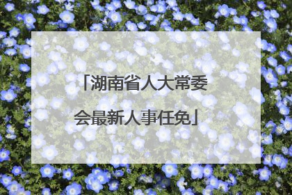 湖南省人大常委会最新人事任免