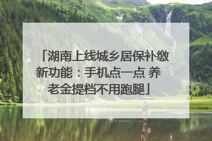湖南上线城乡居保补缴新功能：手机点一点 养老金提档不用跑腿