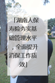 湖南人保寿险夯实基础管理水平，全面提升消保工作质效