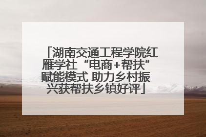 湖南交通工程学院红雁学社“电商+帮扶”赋能模式 助力乡村振兴获帮扶乡镇好评