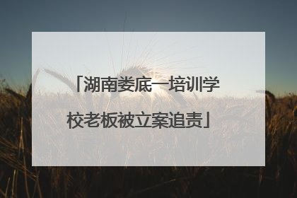 湖南娄底一培训学校老板被立案追责